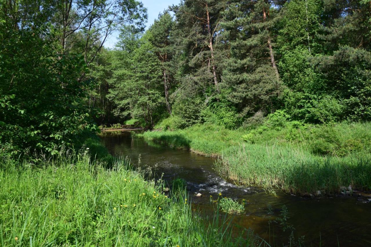 Stary Janow - Pensjonat Staporkow Exterior photo